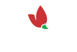 Logo: Arcada.sk - interiérové štúdio